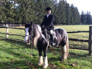 Equestrian - Gypse Vanner