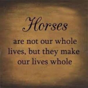 Equestrian blog