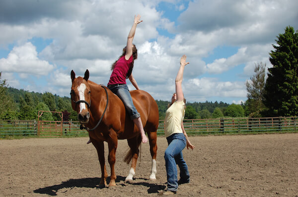 Horse Rider Yoga- Class One/ Breathing & Mountain Pose Digital Downloa –  Horse Hippie