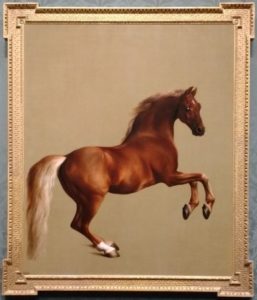 equestrian blog