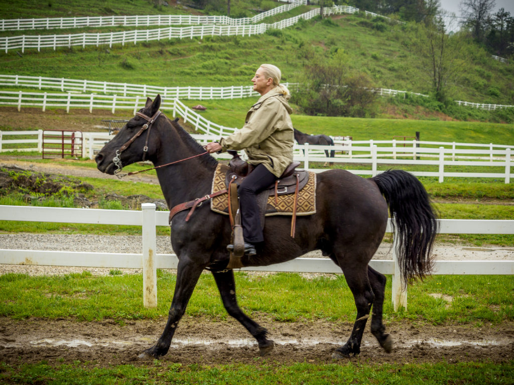 Horse riding