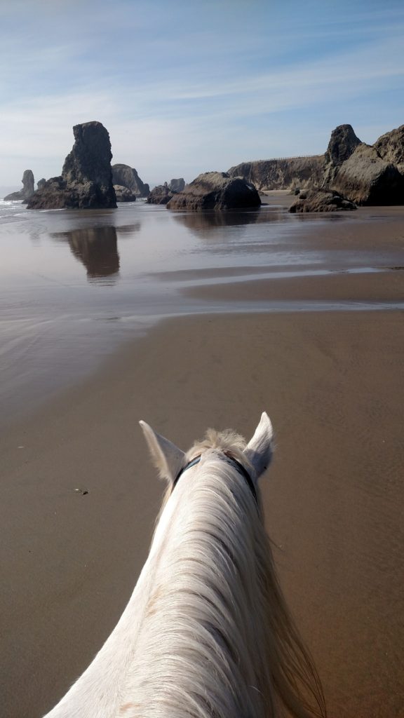 Horse riding by the ocean