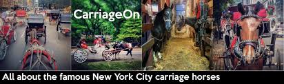 Central Park Carriage Horses