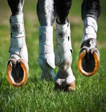 Synthetic horse shoes