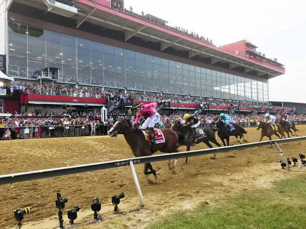 The Preakness Horse Race