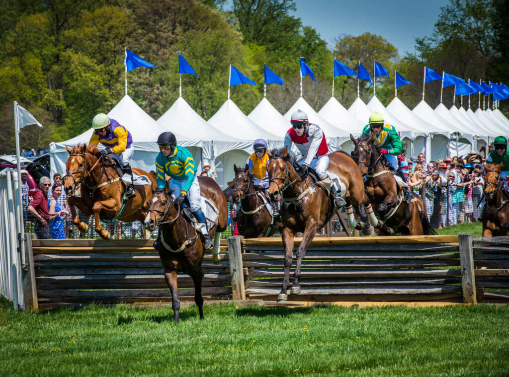 Point-to-Point Horserace