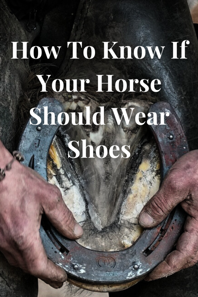 How To Know If Your Horse Should Wear Shoes - The Barngoddess