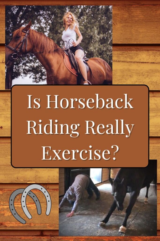 Buy Your Equestrian Yoga Book Now! – Ashva Yoga