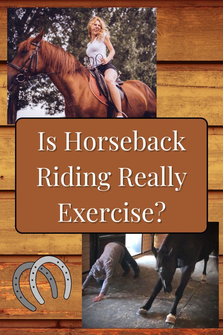 Horse Rider Yoga – Yoga That Can Improve Your Riding
