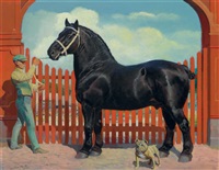 "Shire Horse" 1954