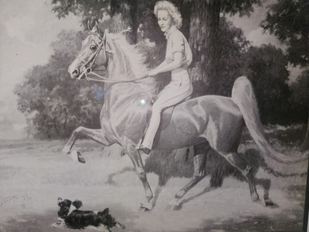Lady on horse