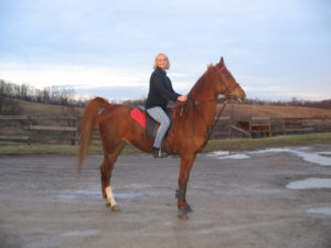 woman on horse