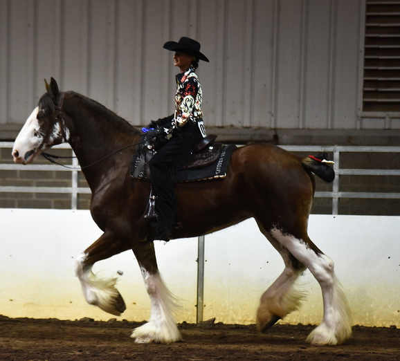 Classic City Clydesdales