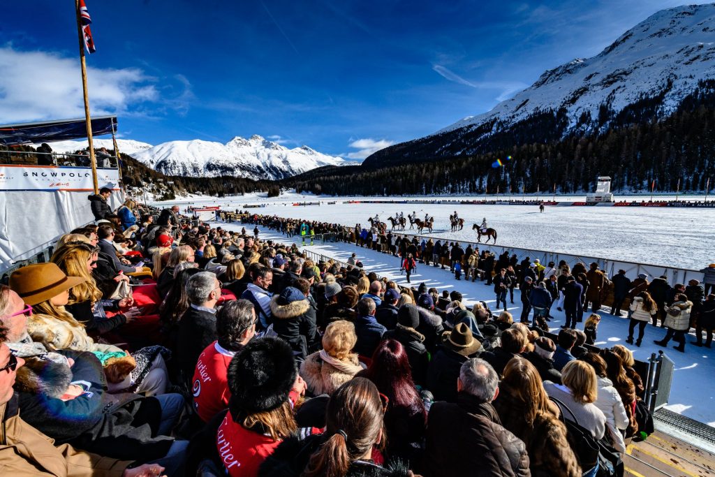 polo spectators