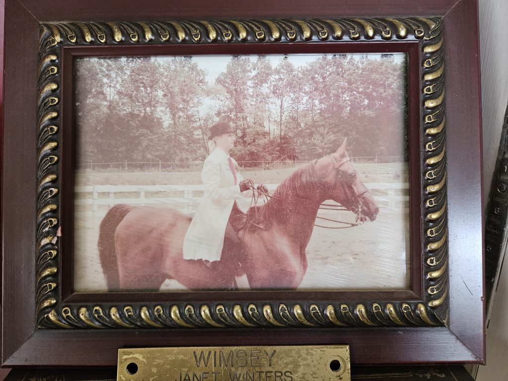 Woman on horse