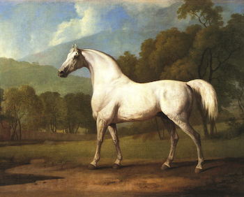 grey horse painting