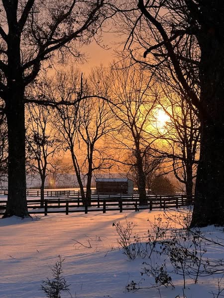 barn in winter