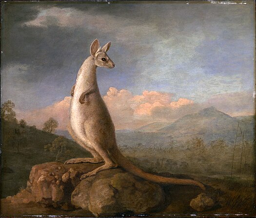 painting of a kangaroo