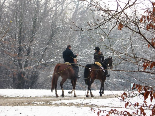 horse riders in the snow