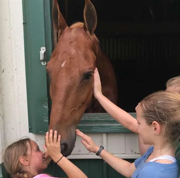 horse stable